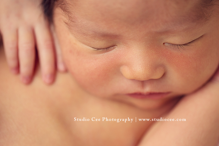 newborn macro photography orange county