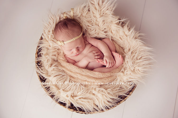 Orange County Newborn PHotographer Mckenna