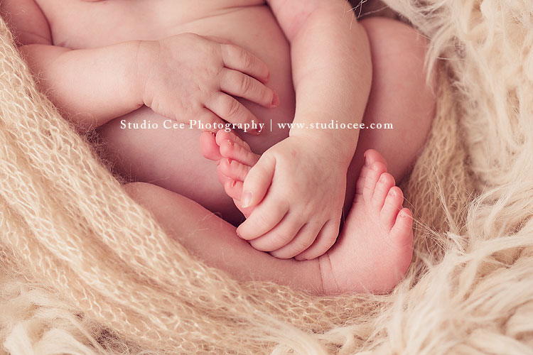 Orange County Newborn PHotographer Mckenna