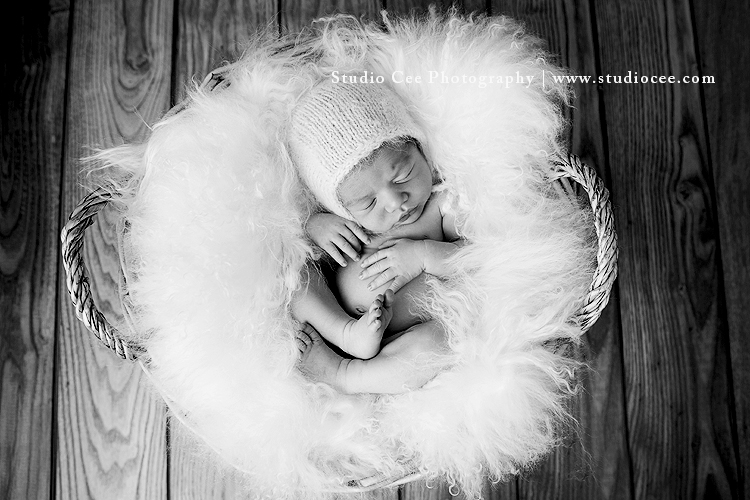 black and white newborn photography orange county