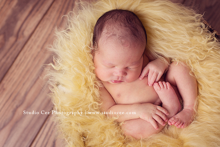 baby photographer studio in orange county