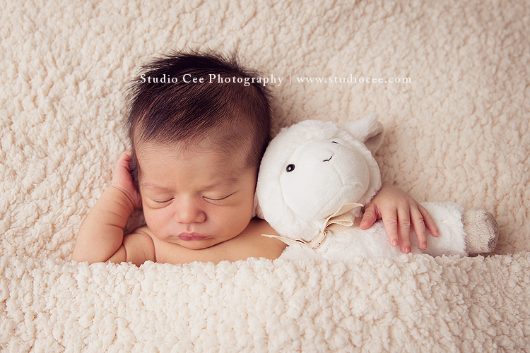 AdorableModernNewbornPhotographyinOC