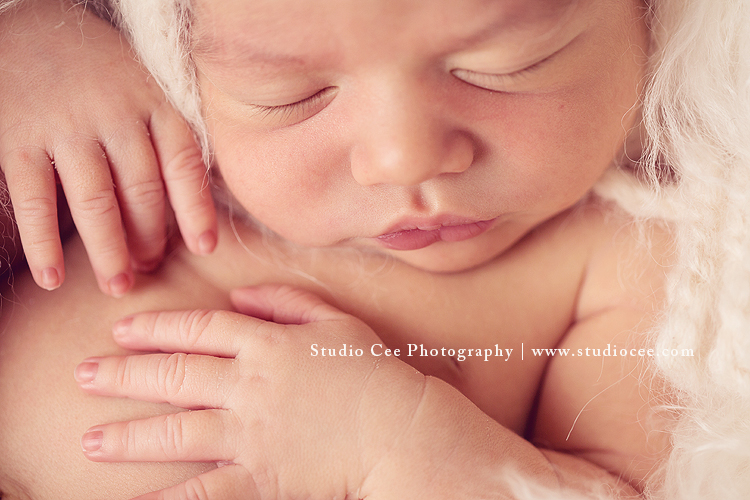 OC-macro-newborn-photography