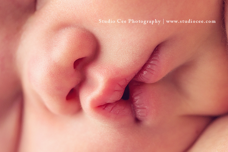 orange-county-newborn-photography