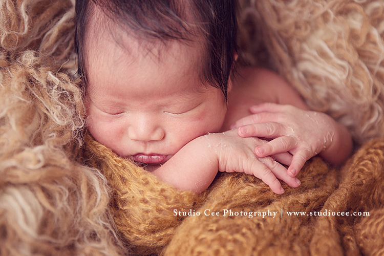 Orange County Newborn Photographer