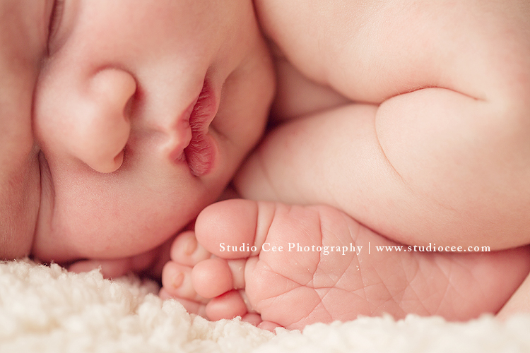 newbornphotographerlagunabeach