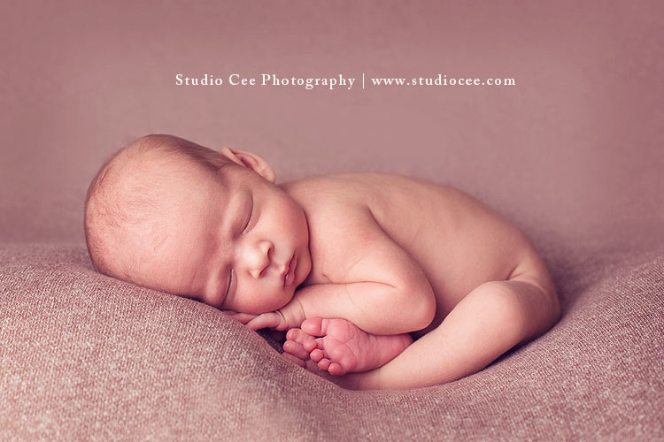 newborn photos orange county