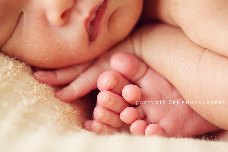 newborn-photographer-in-OC