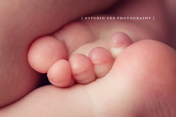 orange-county-newborn-photos