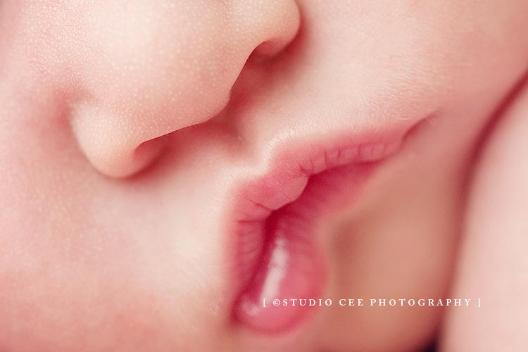 newborn-photographer-orange-county