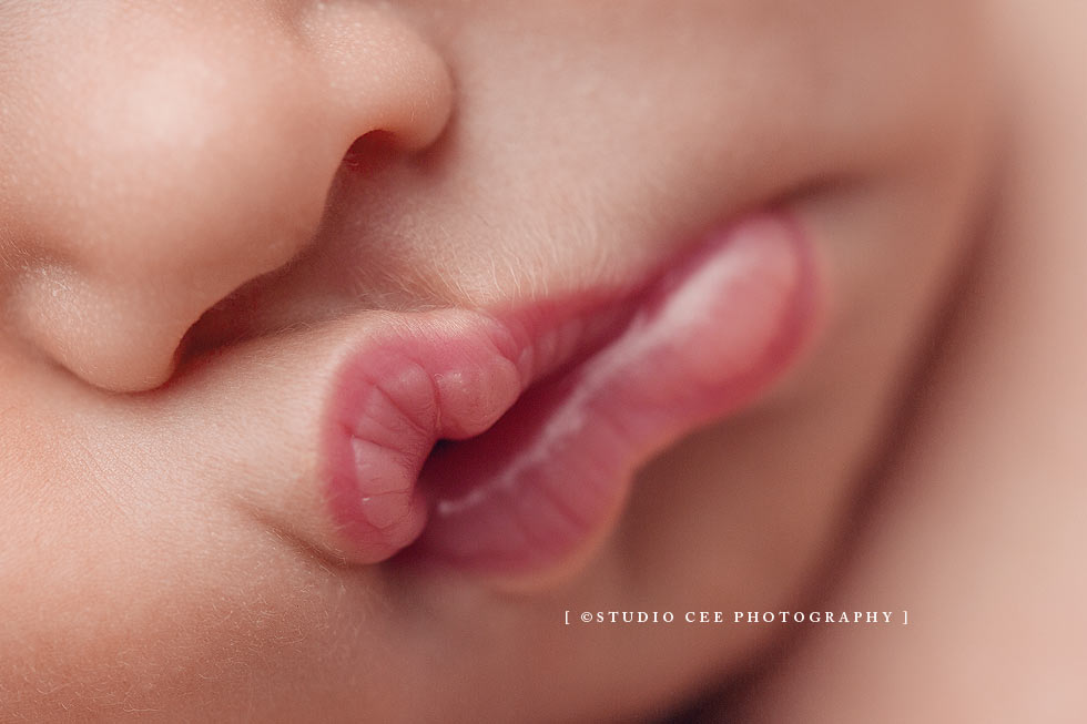 orange-county-newborn-portraits