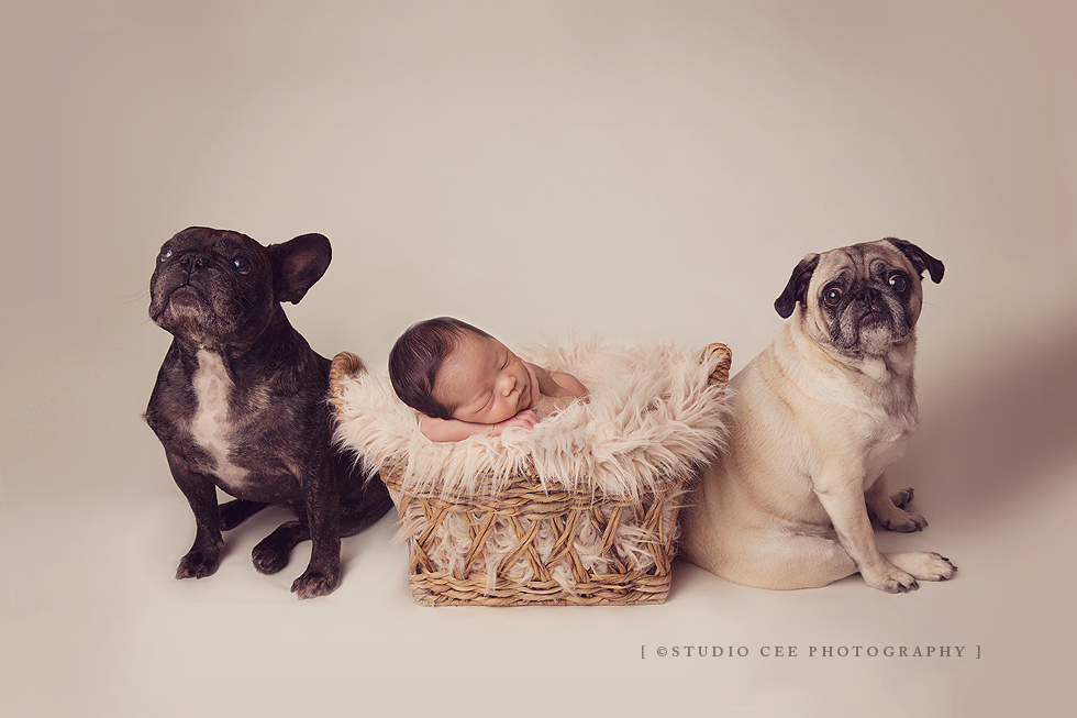 Newborn-photography-orange-county