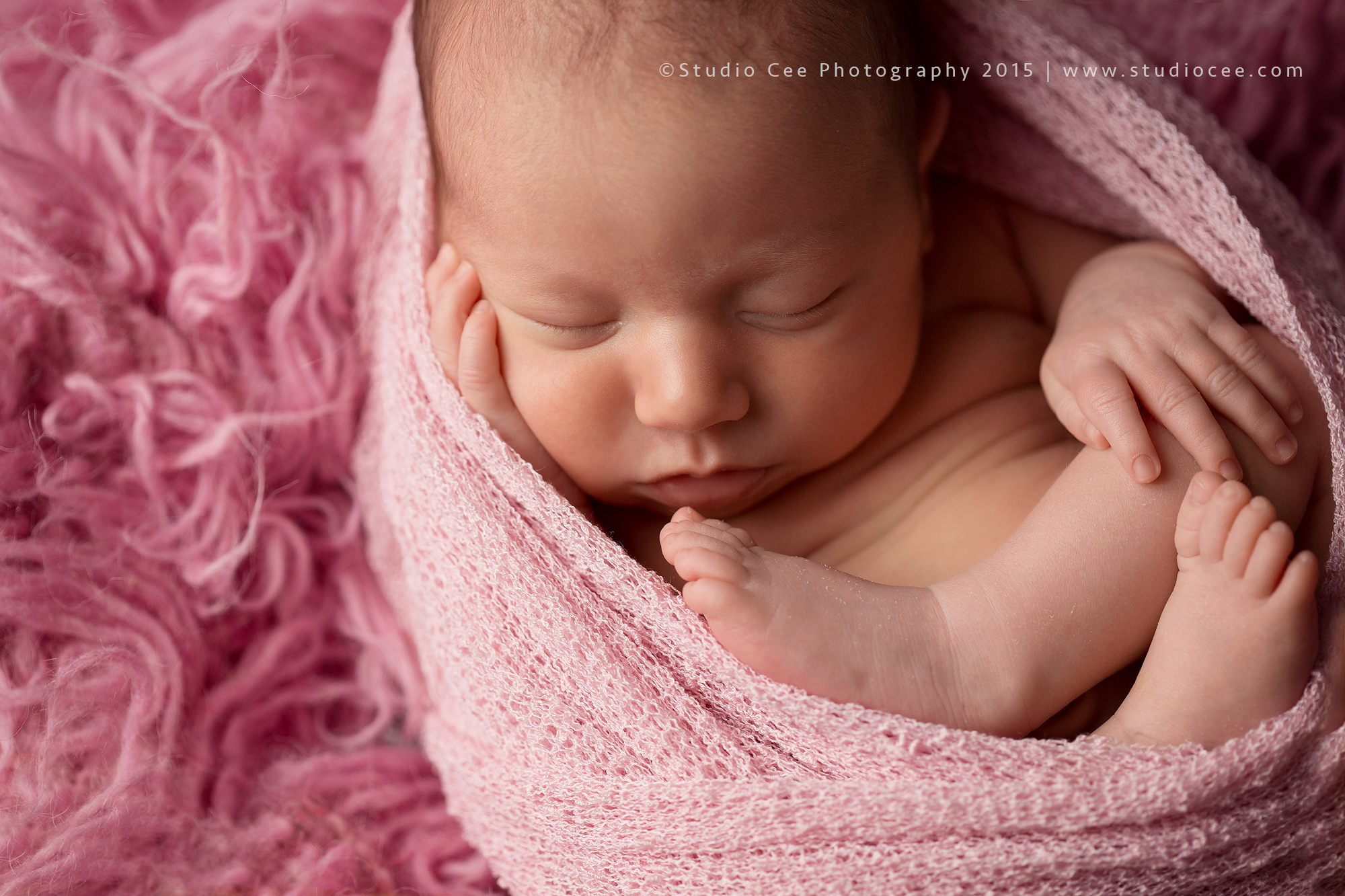 newborn photos mission viejo