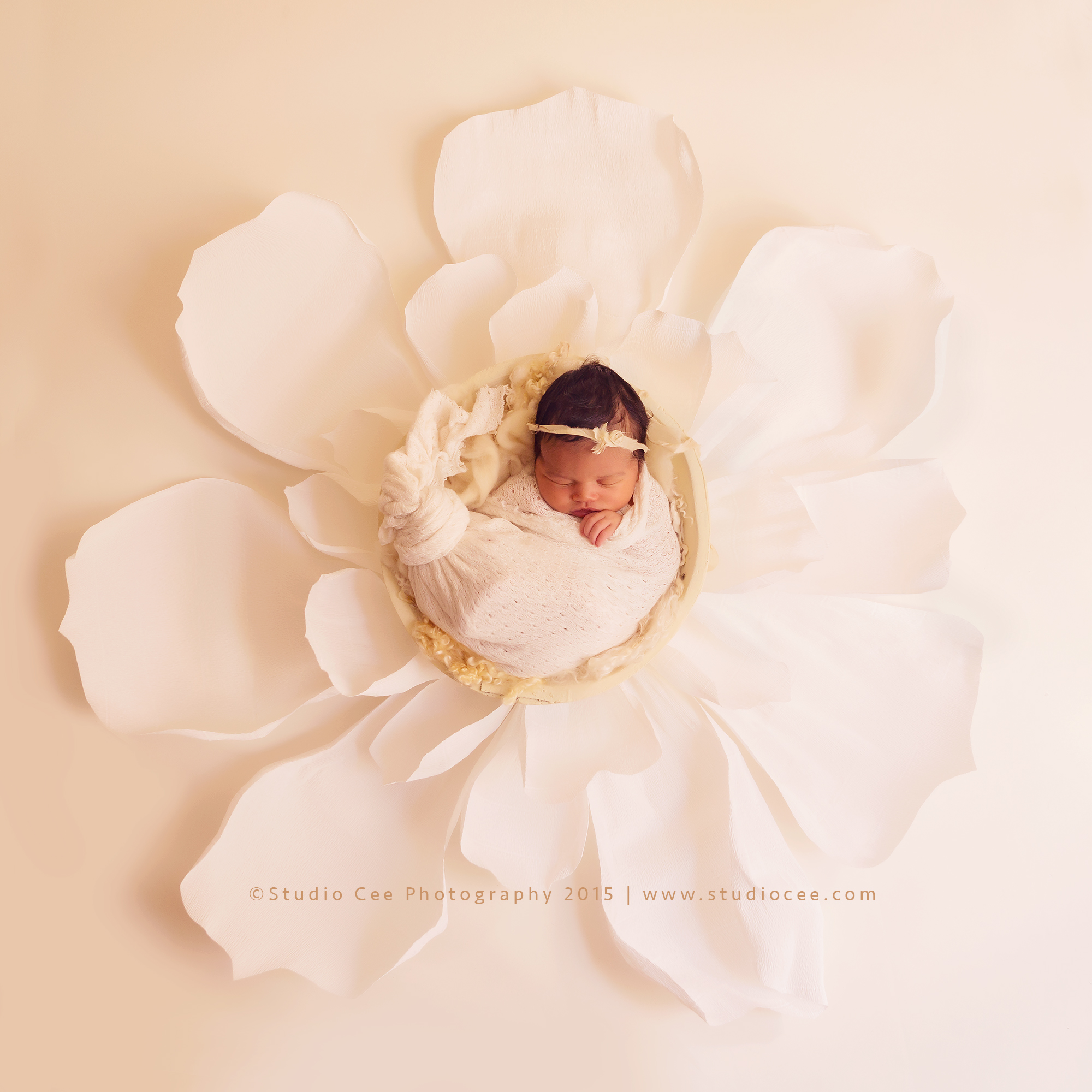 irvine newborn photographer