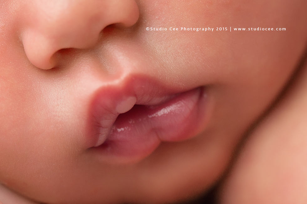 Newborn Baby Maternity Photographer Orange County