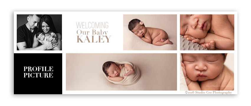 FREE Templates For Photographers