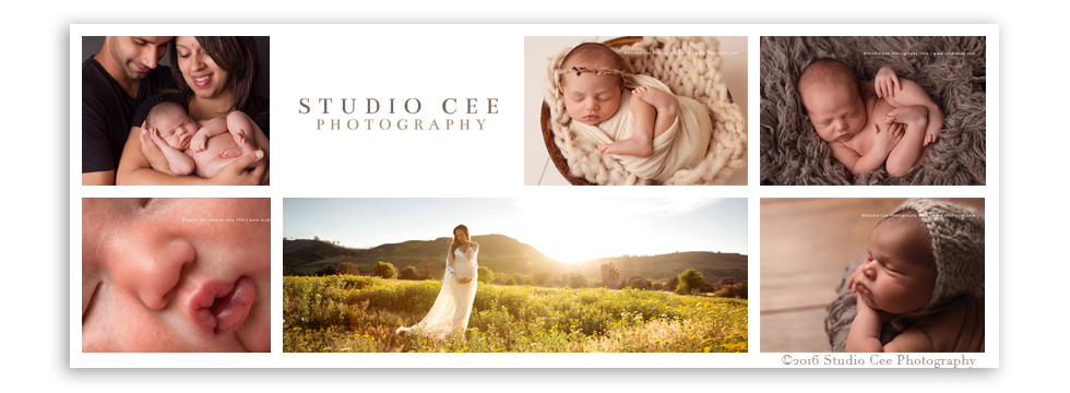 free template for photographers