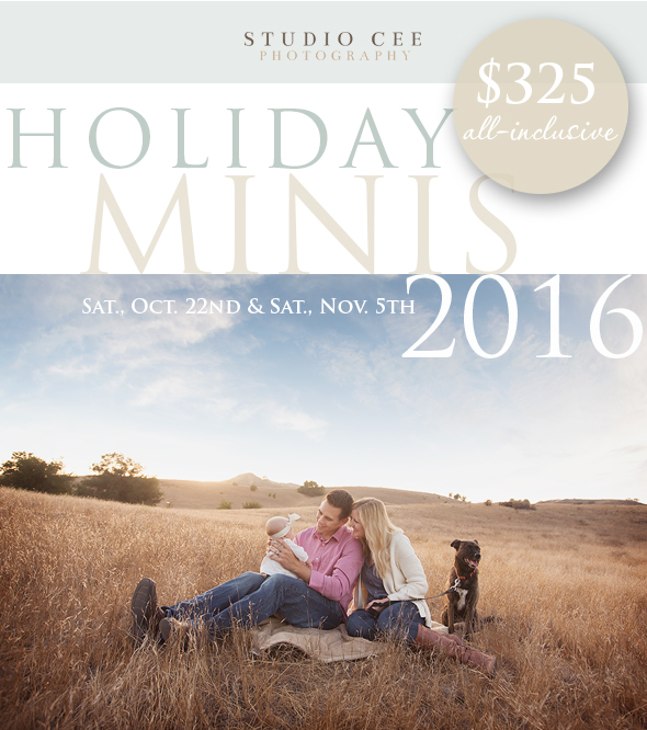 Orange County Photographer