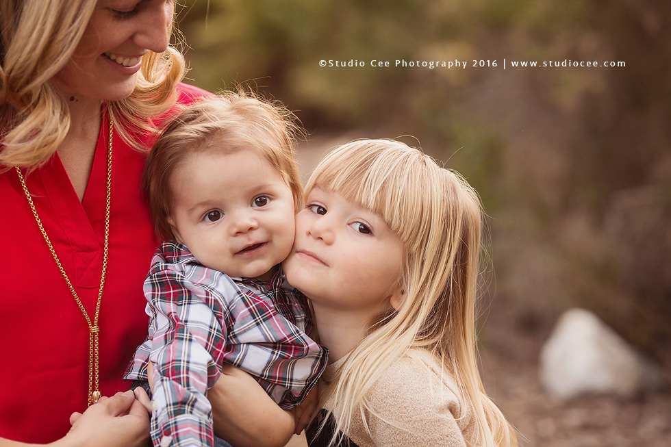 Family Photographer
