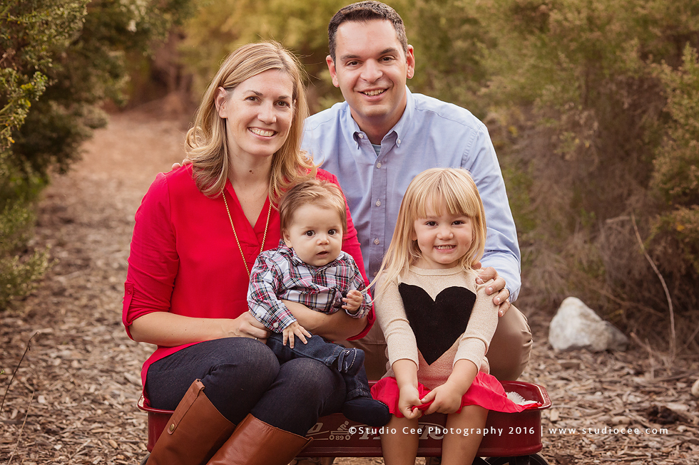 Family Photographer