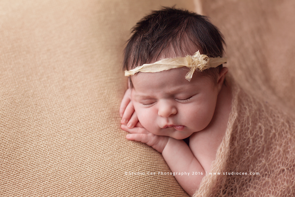 Newborn Portraits