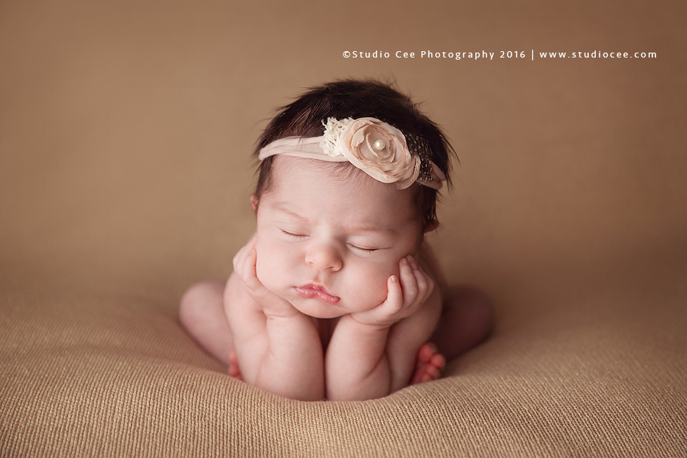 Newborn Portraits