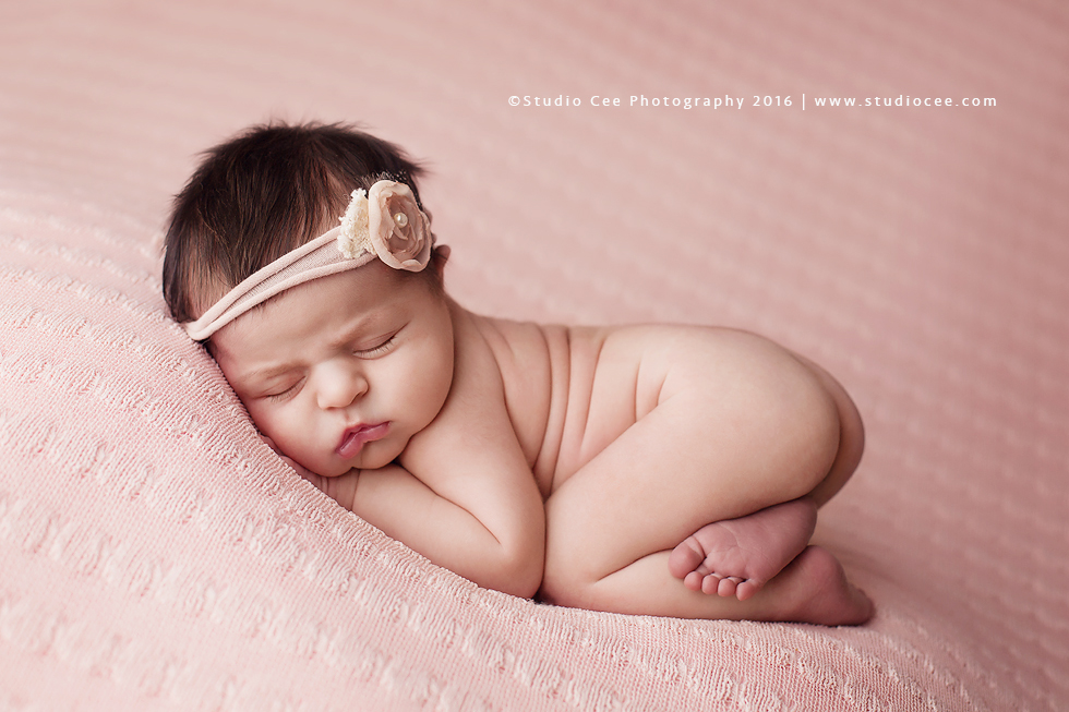 Newborn Portraits