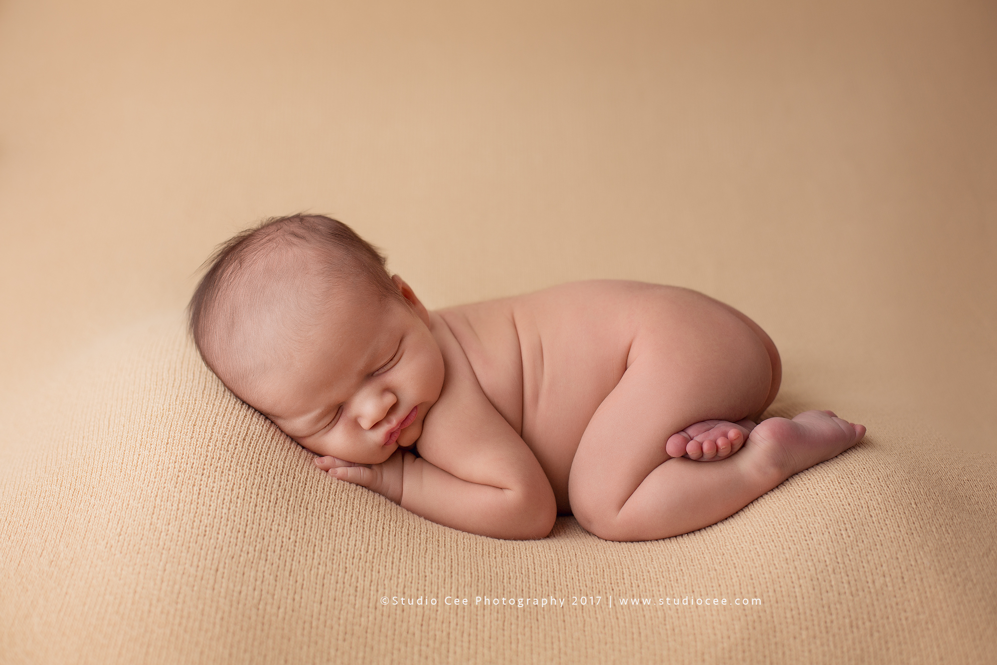 newborn photography newborn photography
