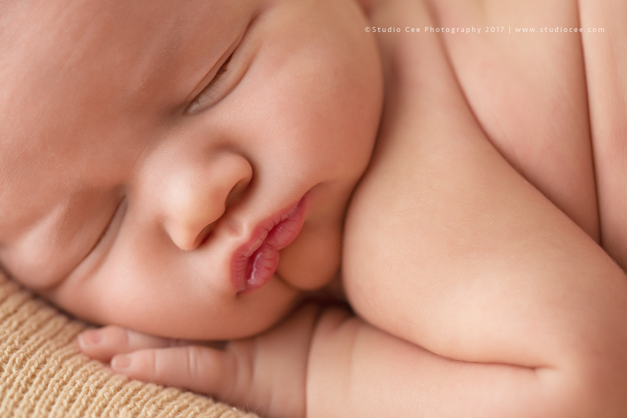 newborn photography newborn photography