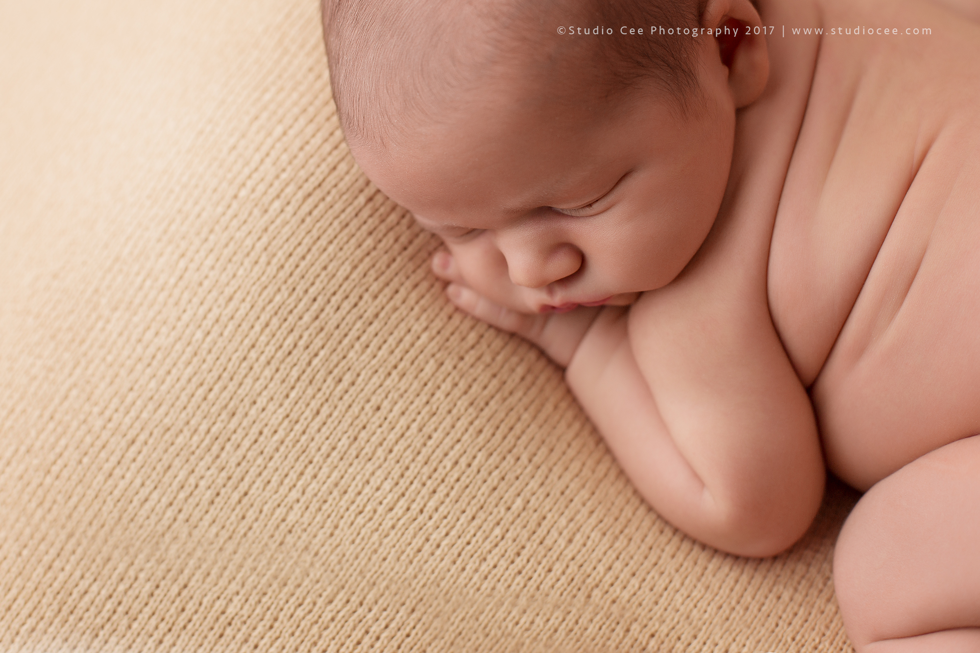 newborn photography newborn photography