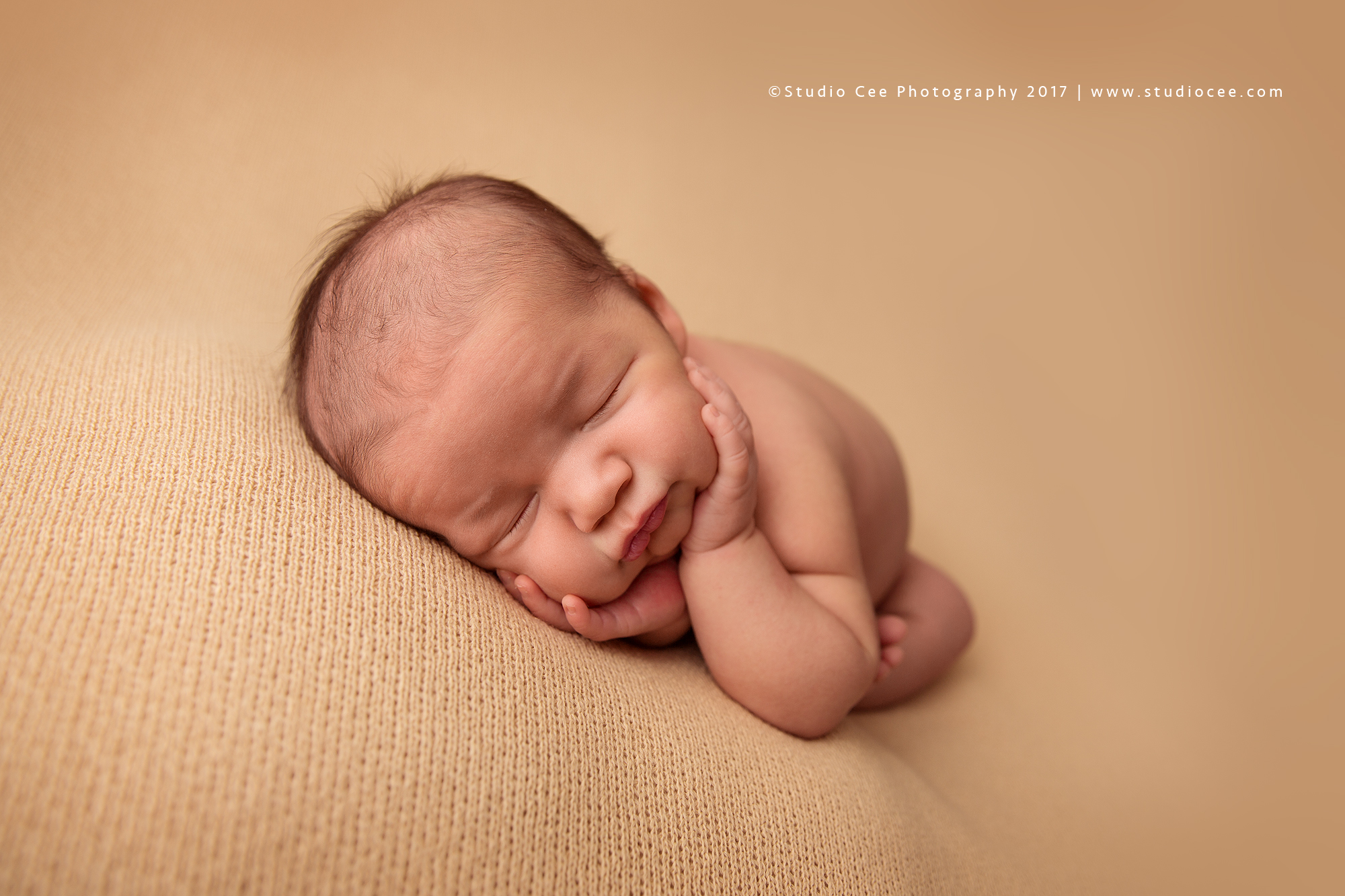 newborn photography newborn photography