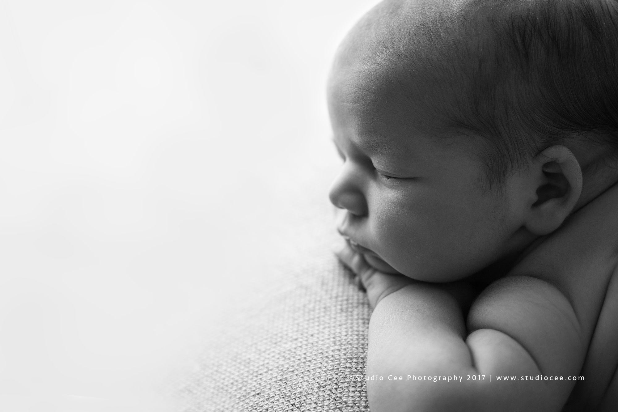 newborn photography newborn photography