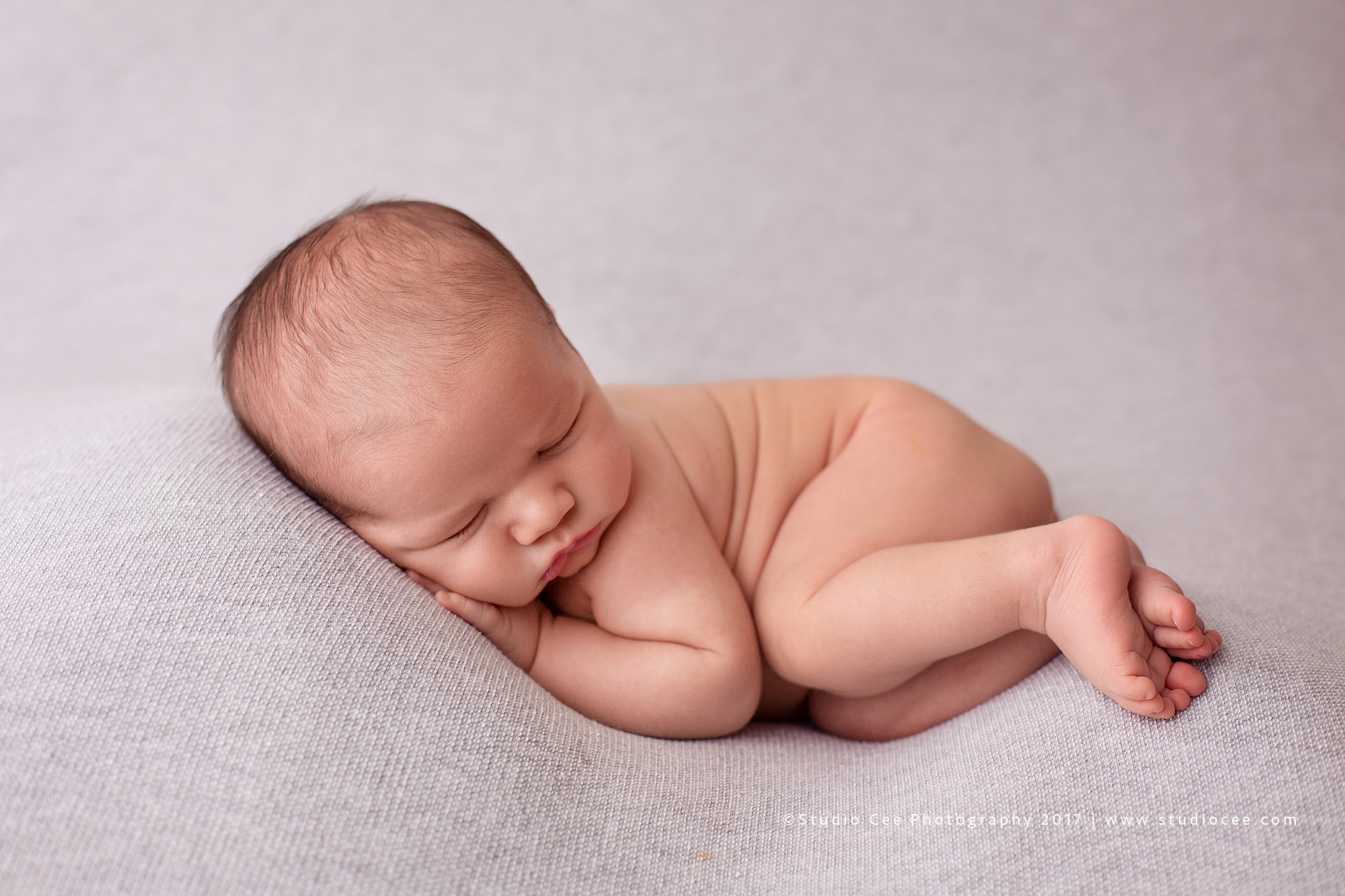 newborn photography newborn photography