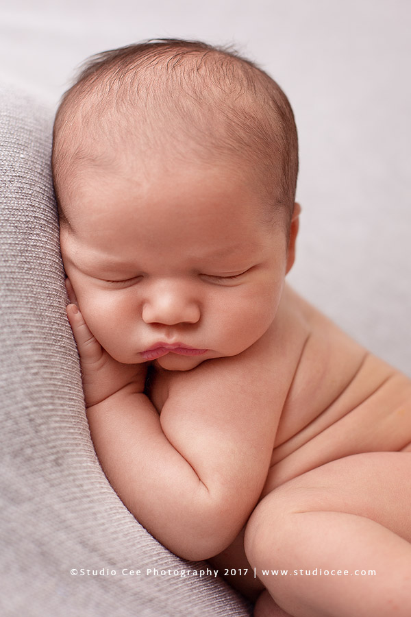 newborn photography newborn photography