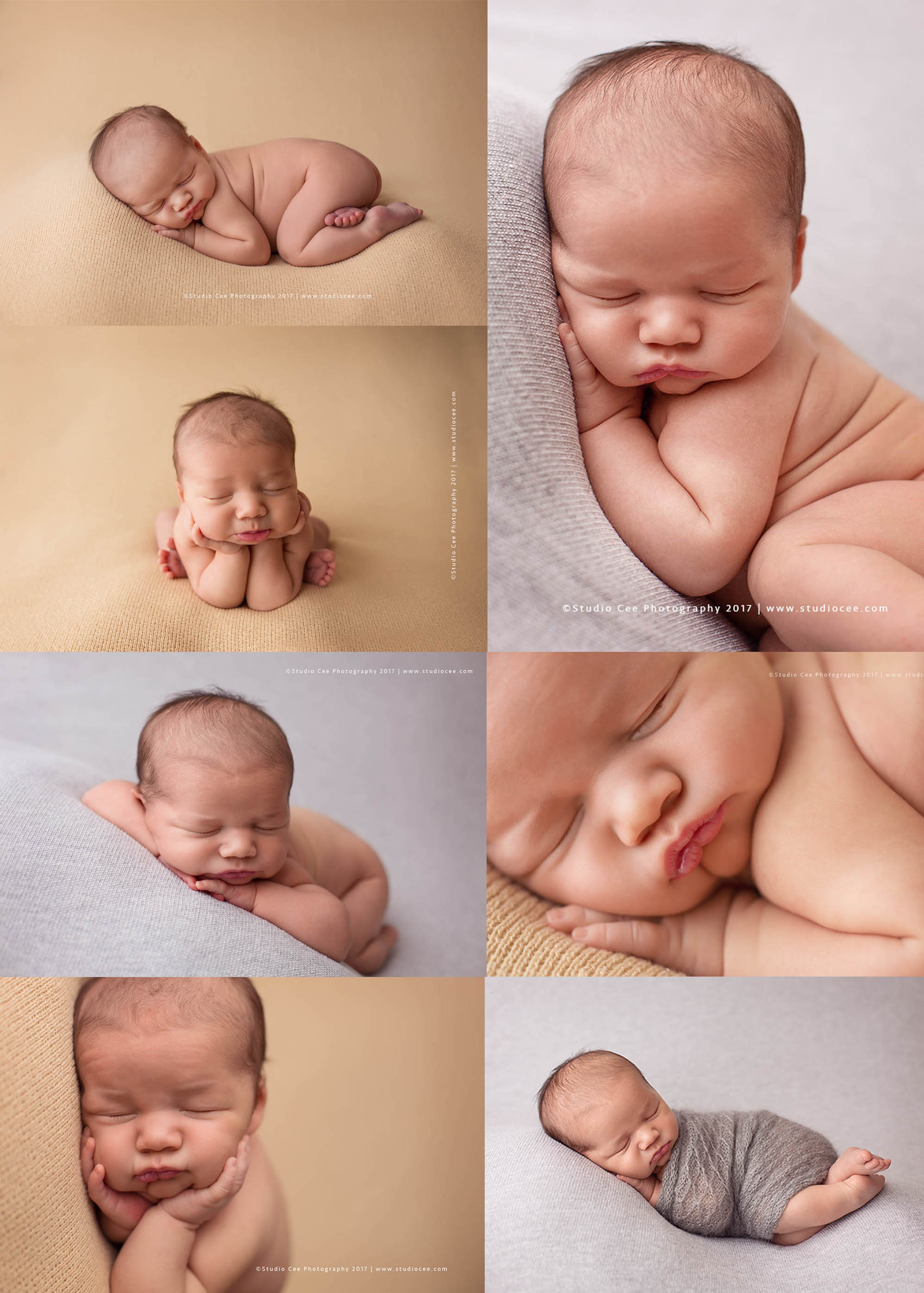 newborn photography