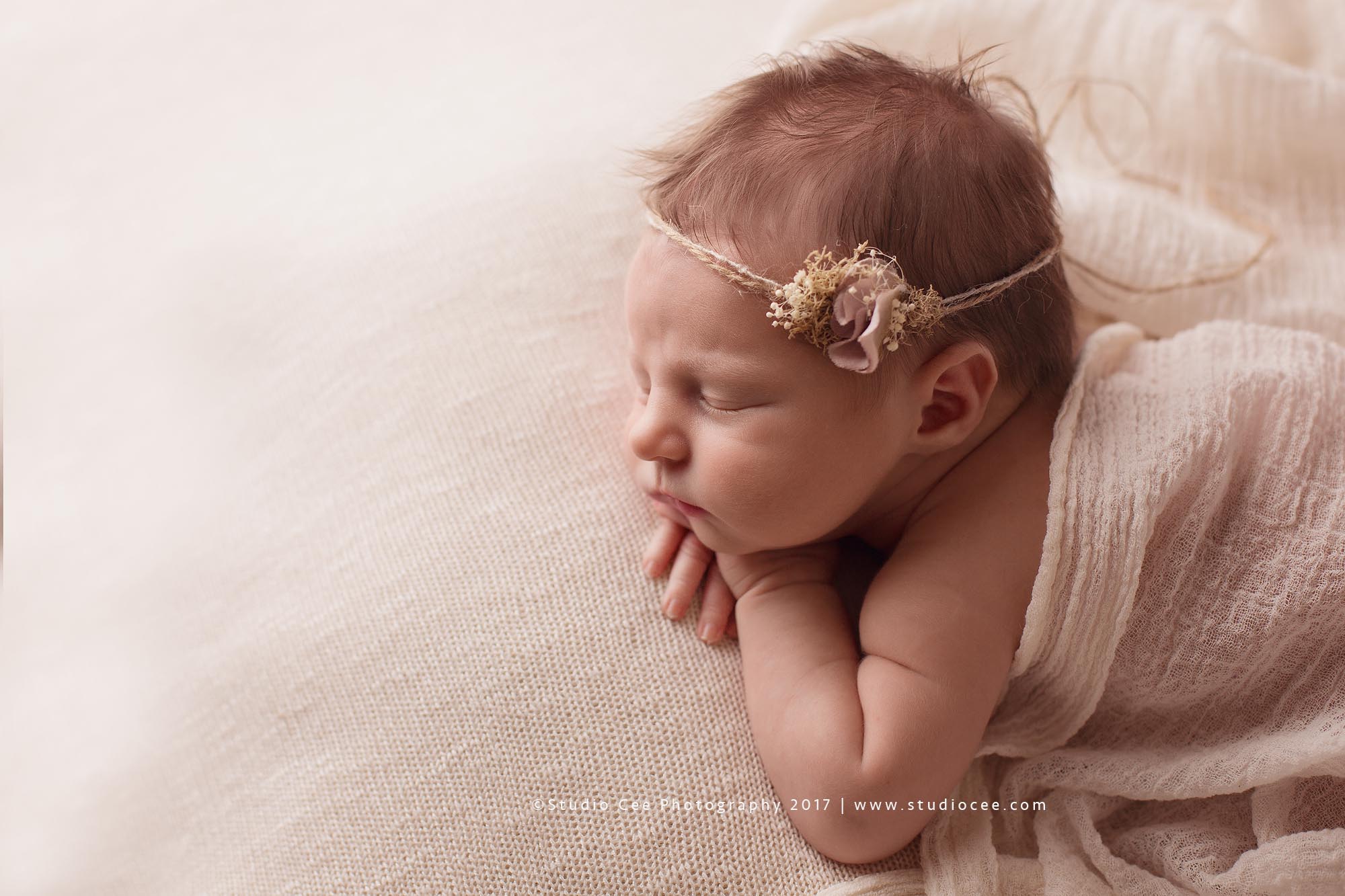 newborn photography irvine newborn photography irvine