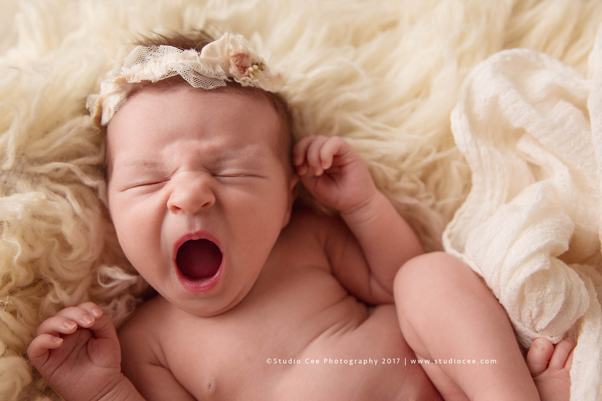 newborn photography irvine newborn photography irvine