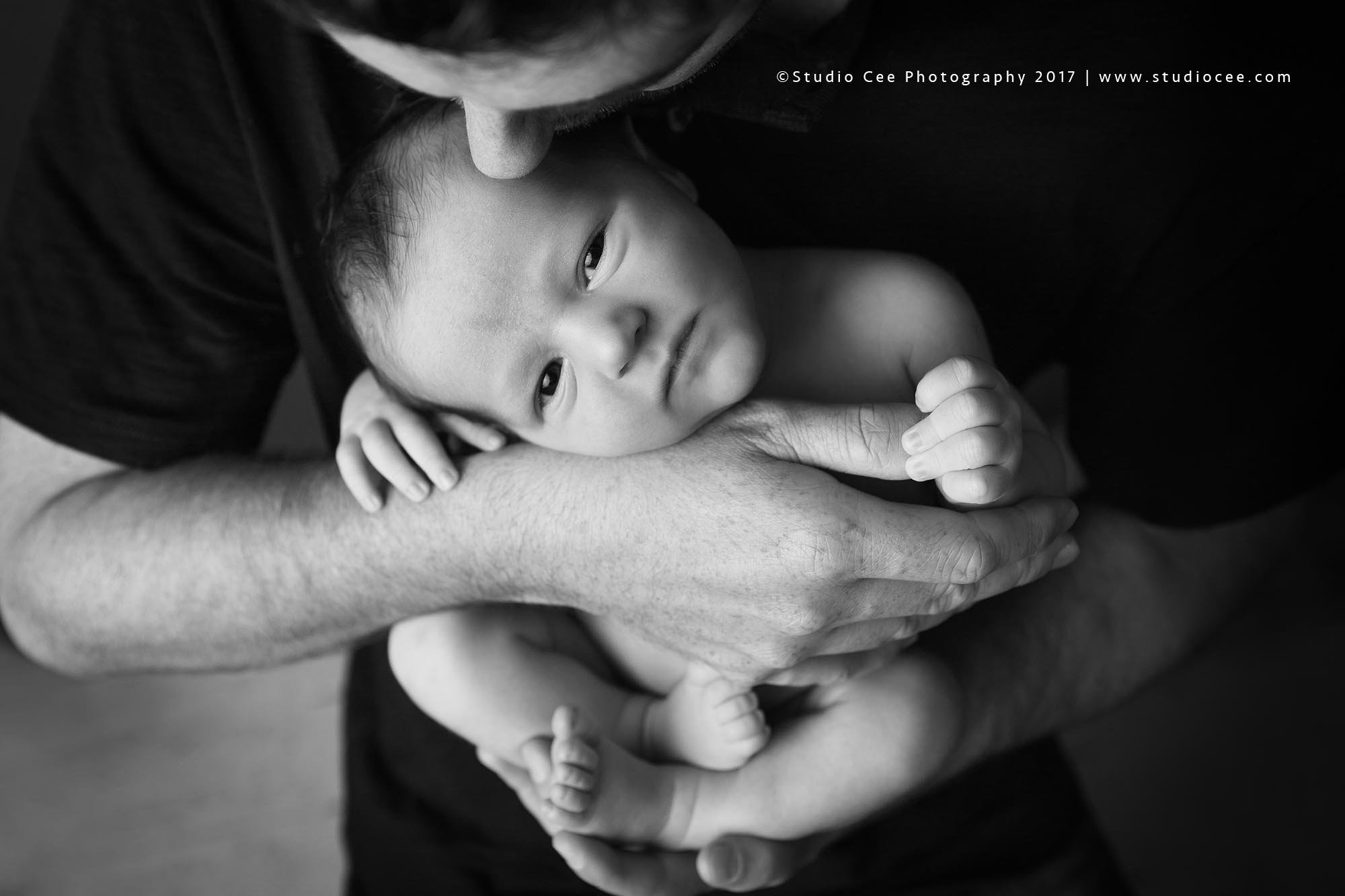 newborn photography CA newborn photography CA