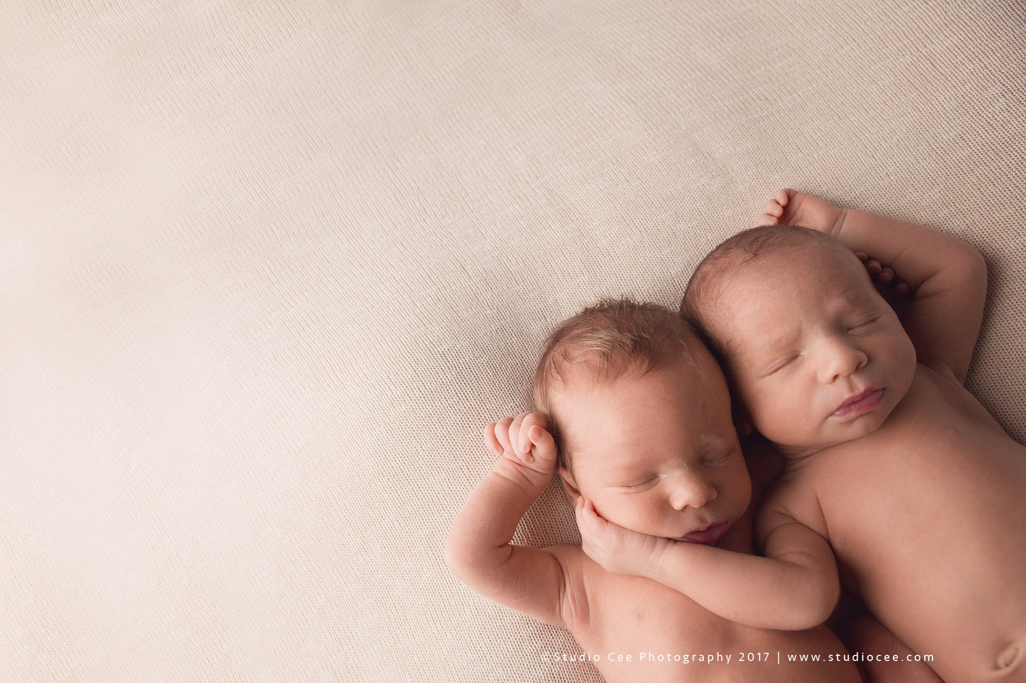 newborn twins photographer