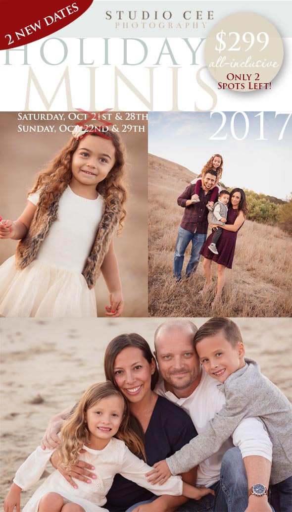 2017 holiday minis orange county