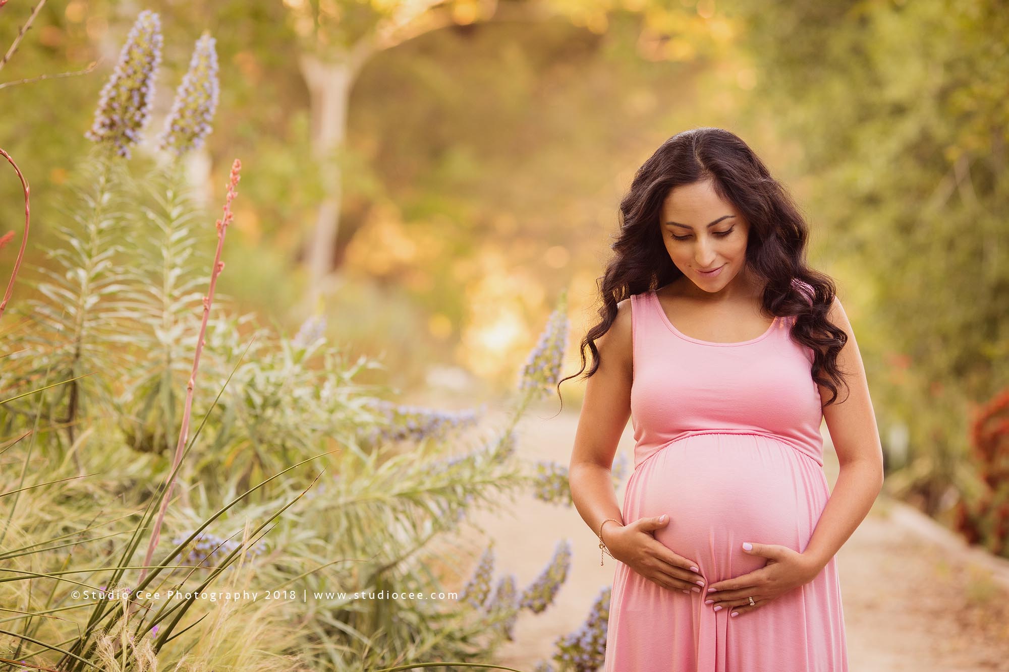 maternity photography orange county