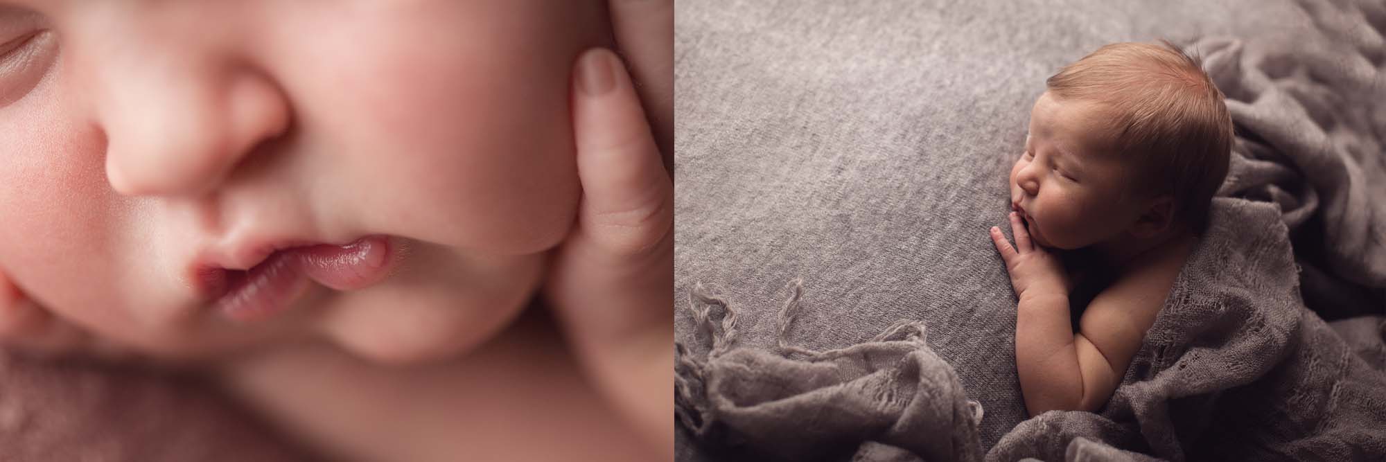 newborn photographer orange county