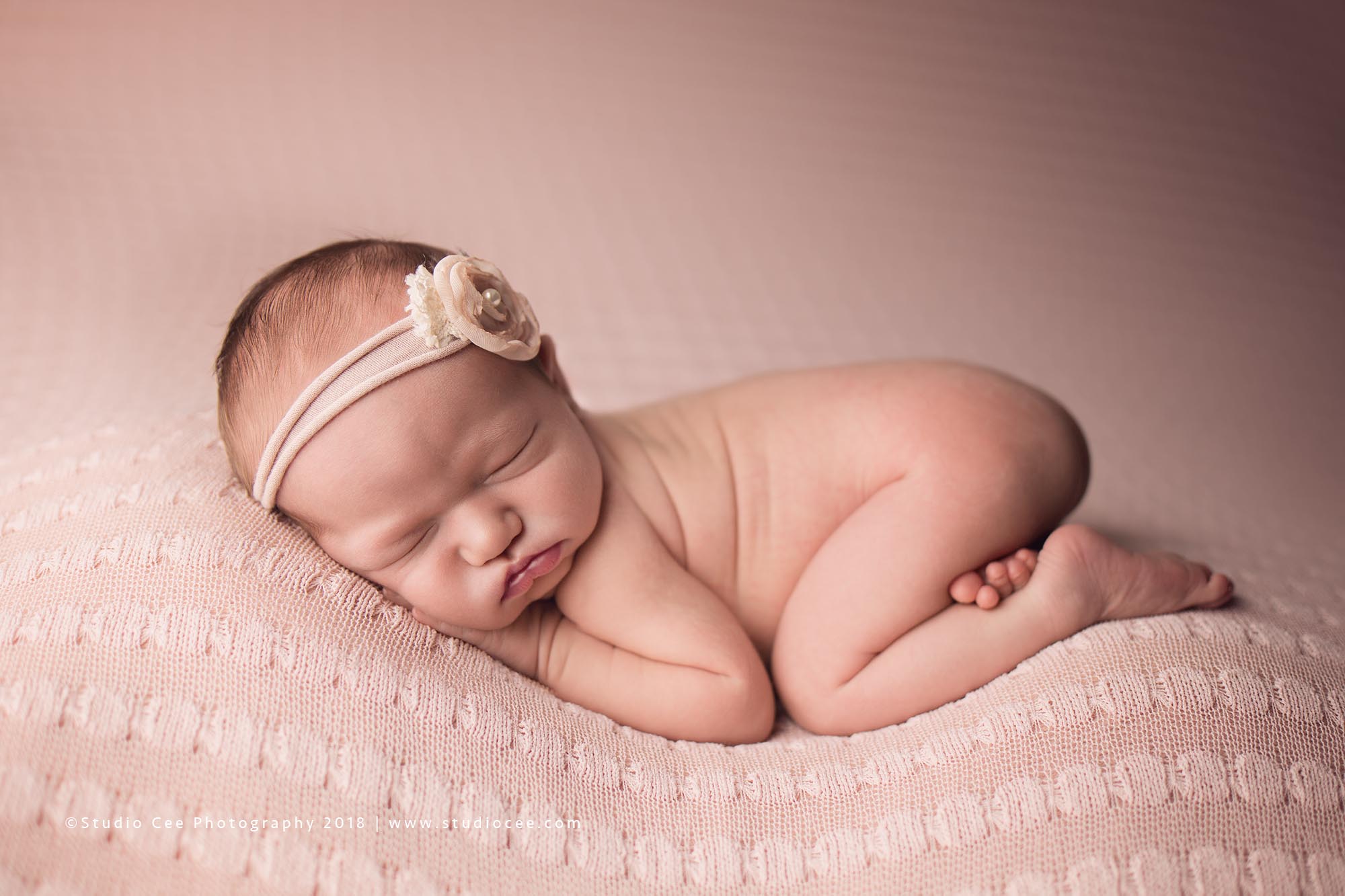 newborn photographer