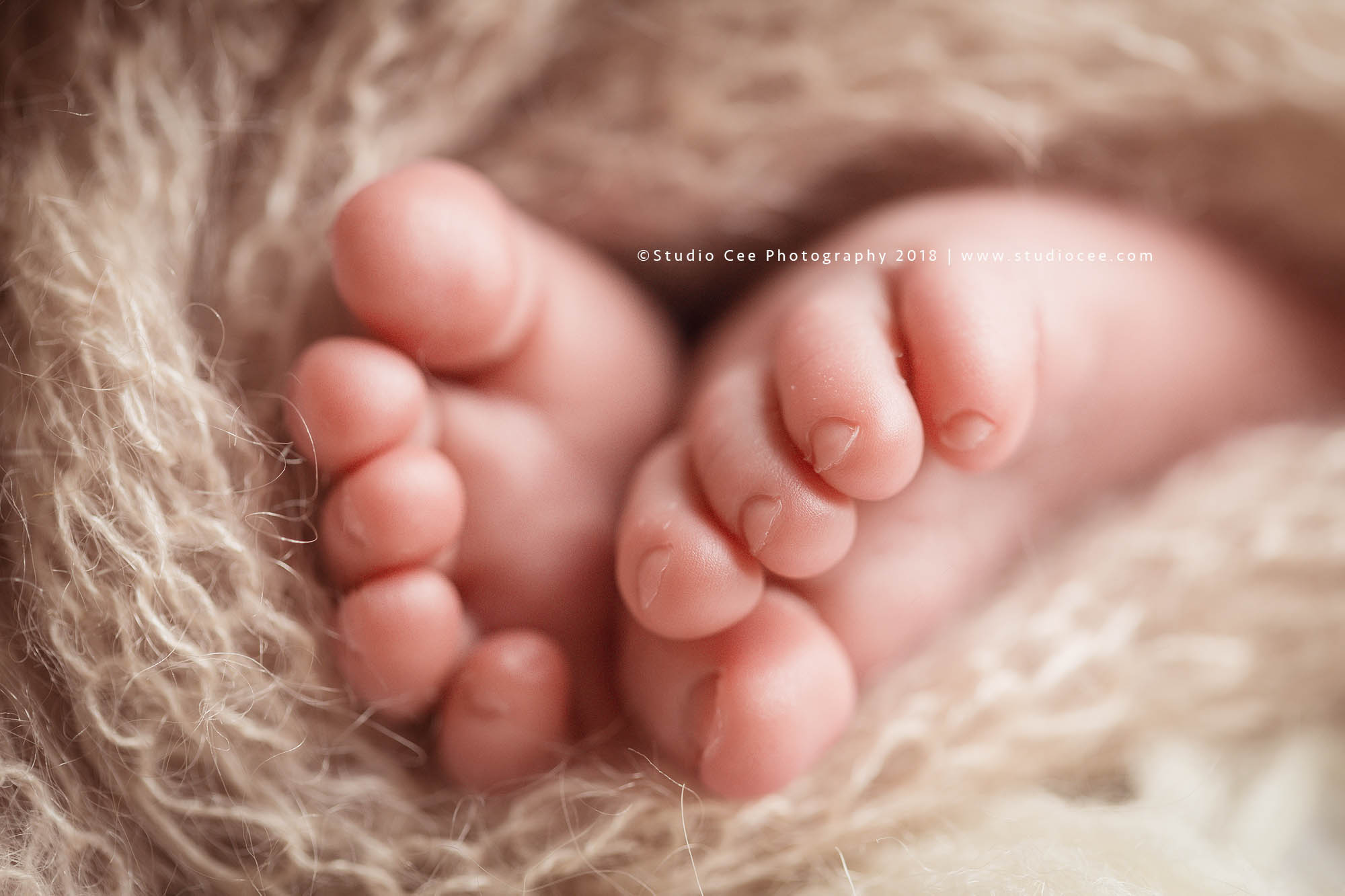 Orange County Newborn Photography