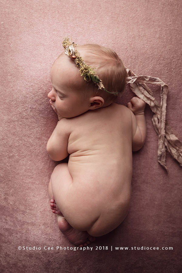 Orange County Newborn Photography Baby Vivienne
