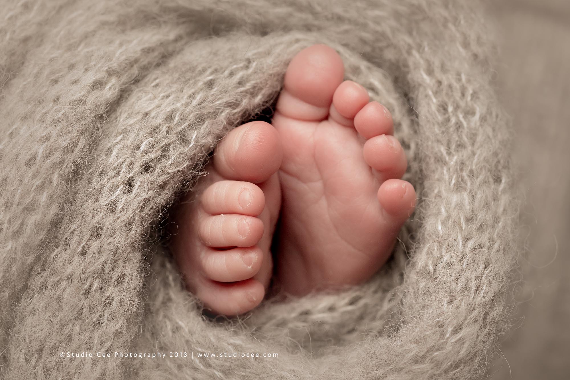 Orange county newborn photography