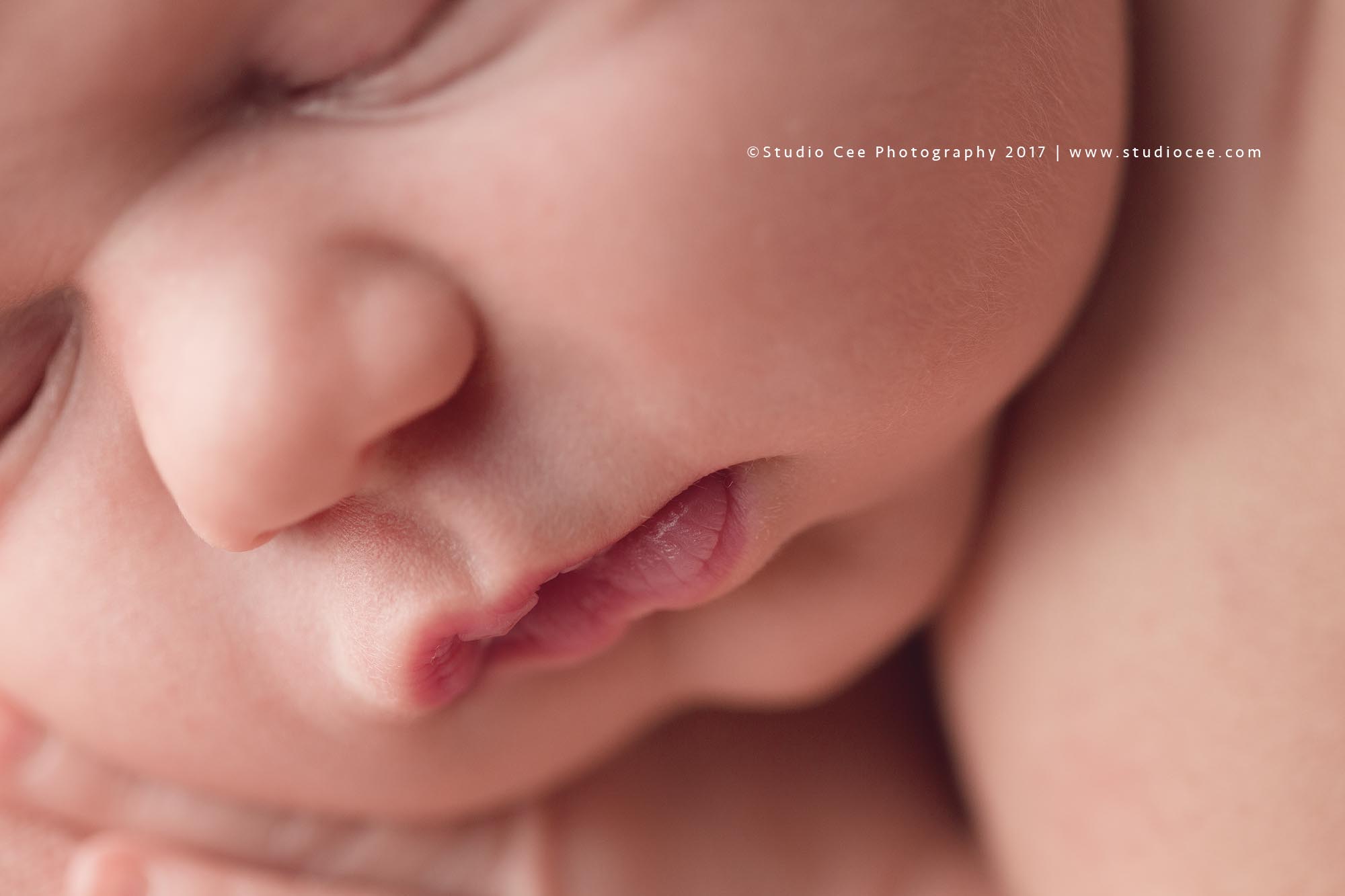 OC Newborn Photography