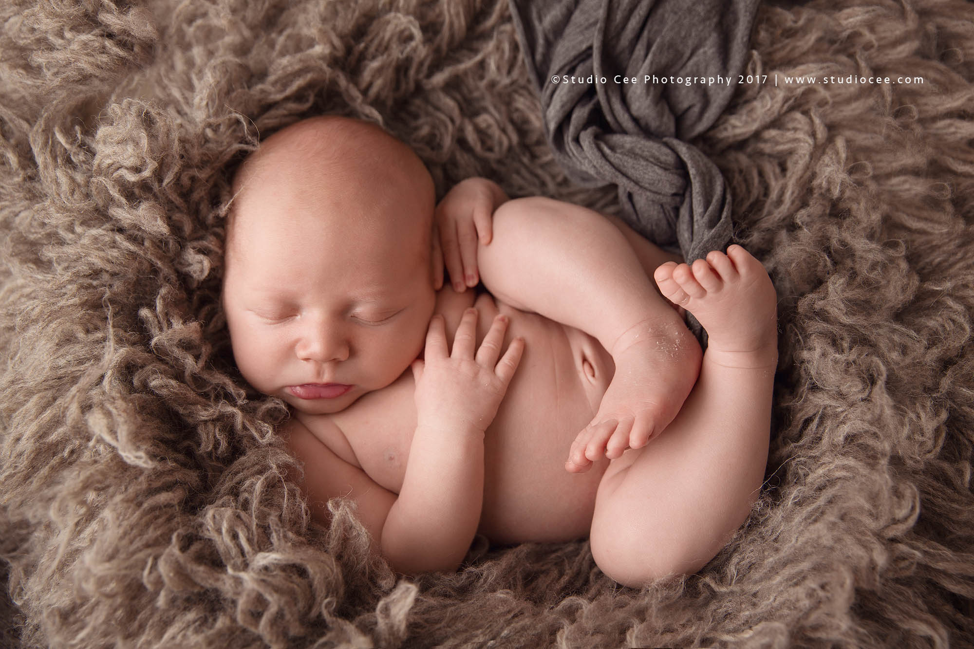 orange county newborn photographer