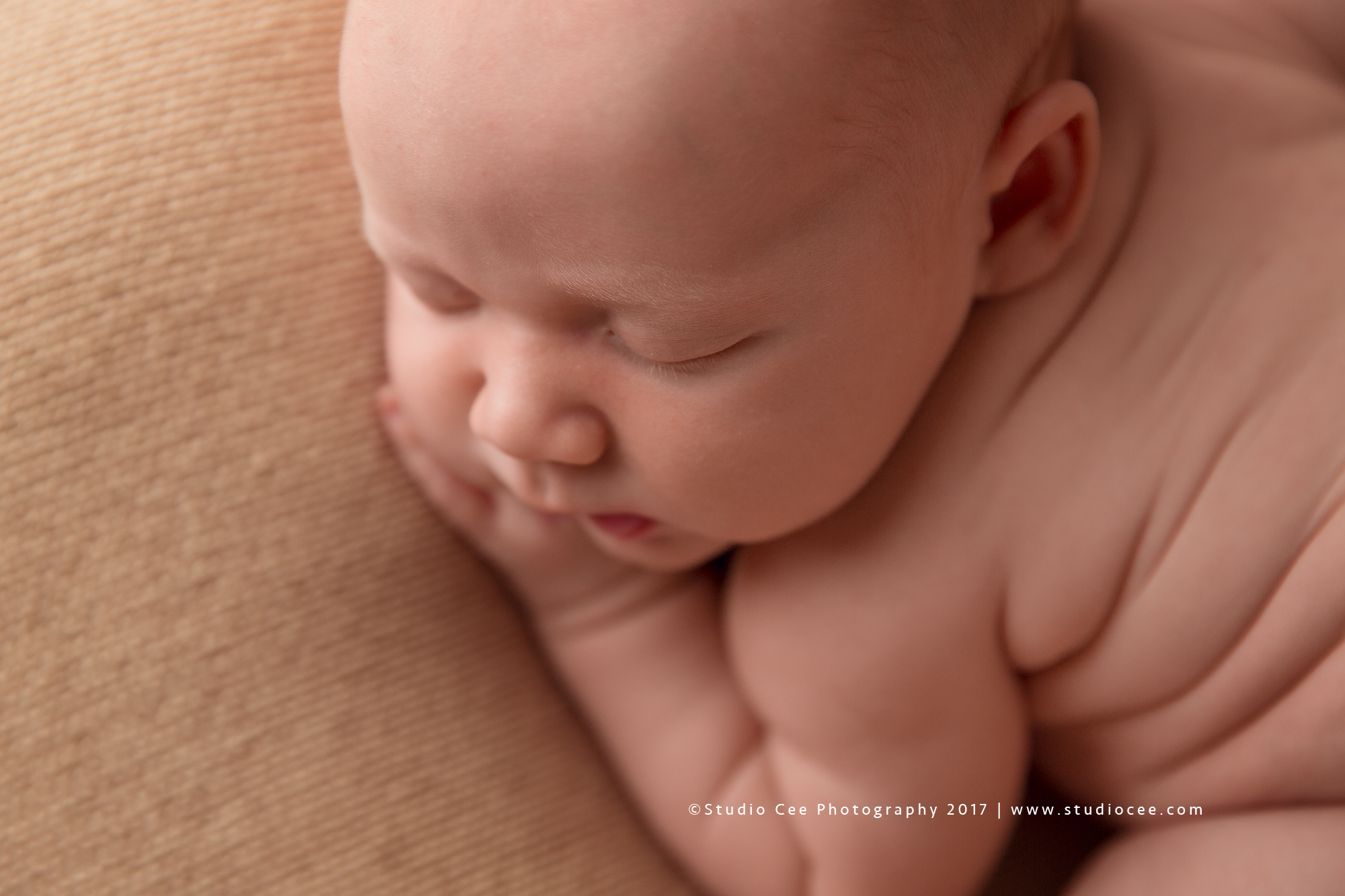 orange county newborn photographer