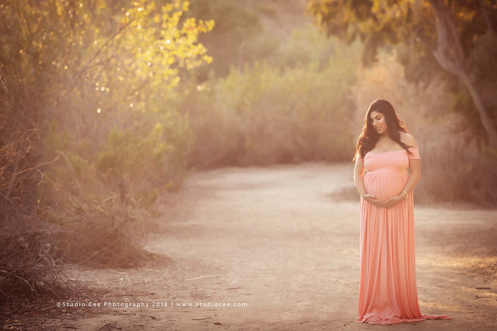 orange county maternity photographer